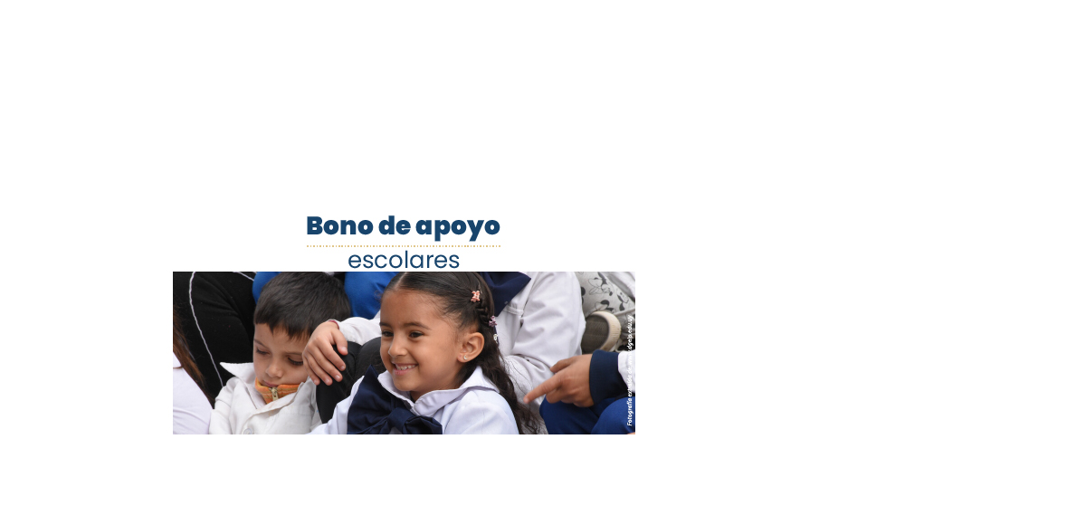 Bono escolares mediano.jpg