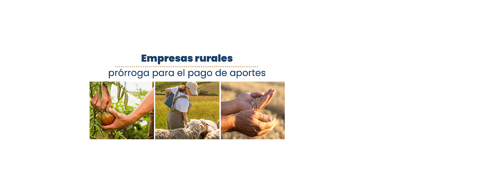 Postergación pago agro-XL.JPG