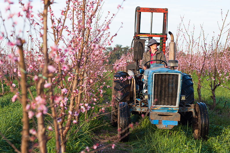 Fotografia de Antonella Ferreira, concurso fotográfico Mujer rural Octubre 2024