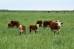 Prórroga aportes rurales web.jpg